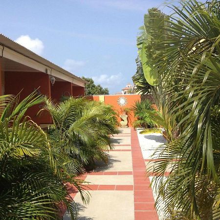 Carinas Studio Apartments Palm Beach Exterior photo