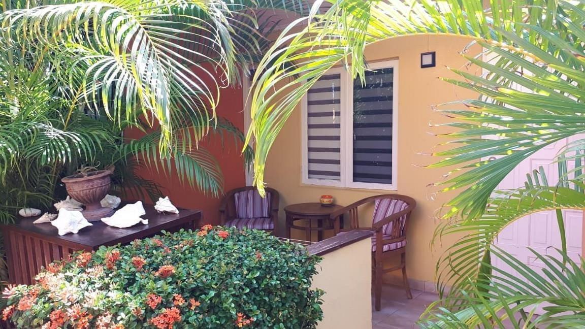 Carinas Studio Apartments Palm Beach Exterior photo