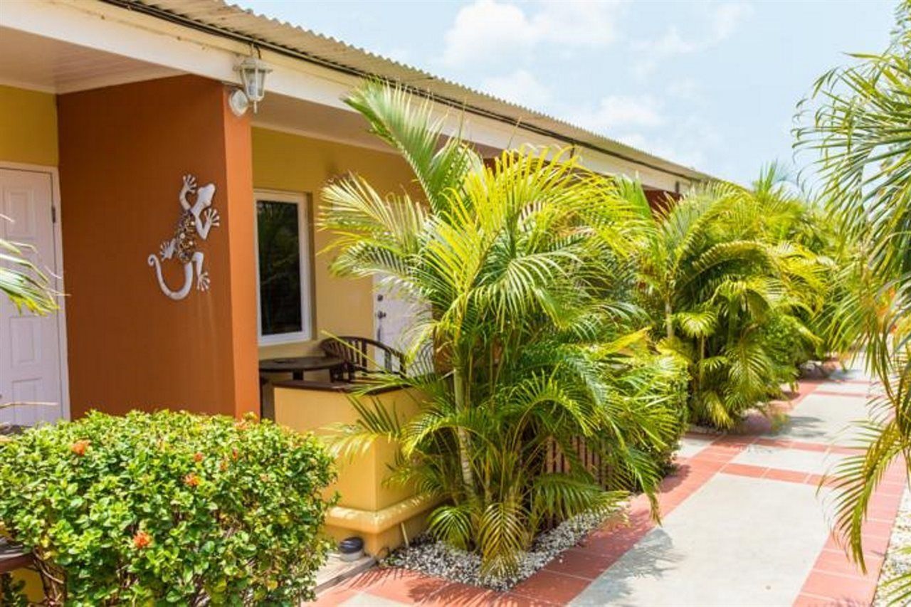 Carinas Studio Apartments Palm Beach Exterior photo
