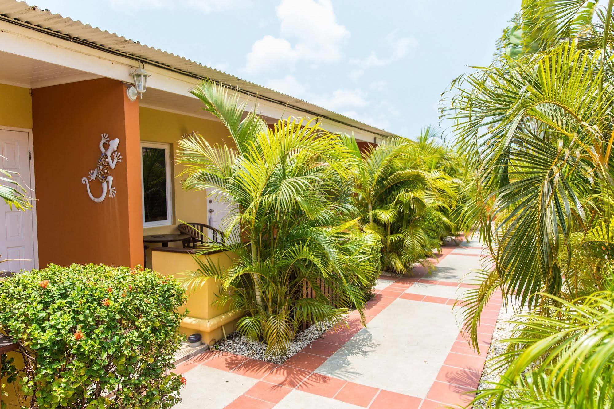 Carinas Studio Apartments Palm Beach Exterior photo